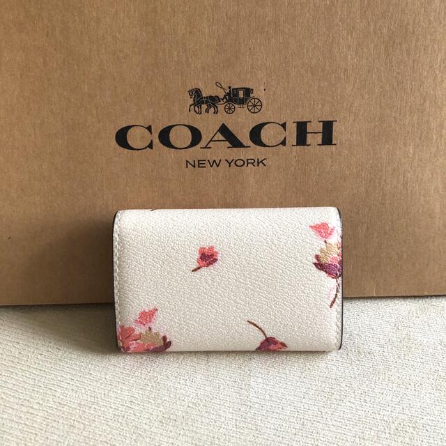 COACH 大人気！！ 6リング キーケース フローラル チョーク 花柄 新品