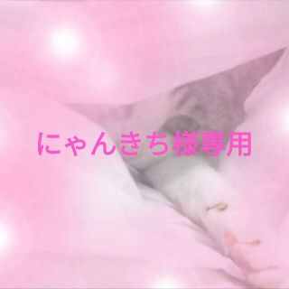 ♡にゃんきち様専用♡(人形)