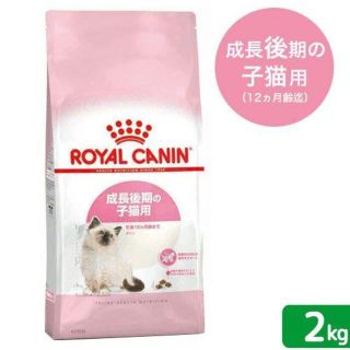 ロイヤルカナン(ROYAL CANIN)のロイヤルカナン　子ねこ　キトン　成長後期の子猫用　生後１２ヵ月齢まで　２ｋｇ　(猫)