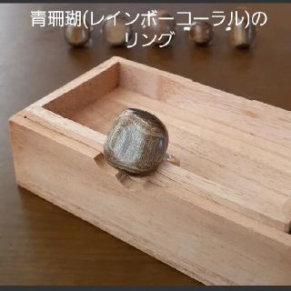 214.青珊瑚(レインボーコーラル)のリング(リング(指輪))