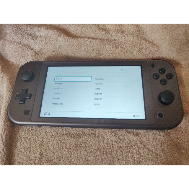 【美品】 Nintendo Switch Lite ディアルガ パルキア