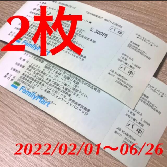 ナガシマスパーランド 遊園地入場券+のりもの乗り放題チケット 2枚
