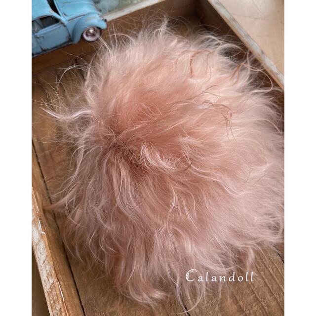 モヘア植毛頭皮 ラディエンスリニュー対応