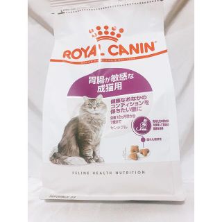 ロイヤルカナン(ROYAL CANIN)の特別 ロイヤルカナン 猫  キャットフード 胃腸が敏感  猫用 400g*1袋(猫)