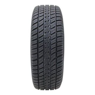 COOPER COBRA RADIAL G/T.RWL 245/60R15(タイヤ)