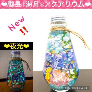 【海月】〜❄︎水槽風❄︎〜深海アクアリウム❤︎蓄光in❤︎オーダー受付(プリザーブドフラワー)