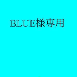 エーエヌエー(ゼンニッポンクウユ)(ANA(全日本空輸))のBLUE 様専用ANA株主優待券(その他)