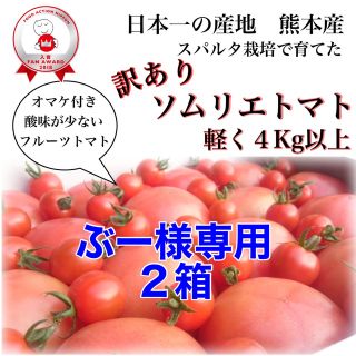 ♡ Tomato様 専用出品 ♡ elc.or.jp