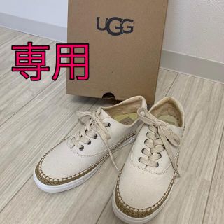 アグ(UGG)のUGG  キャンバス　スニーカー　(スニーカー)