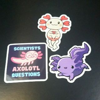 ウーパールーパー AXOLOTL ステッカー シール 3枚セット ①(キャラクターグッズ)