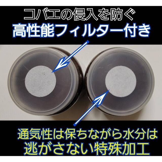 極上！カワラタケ菌糸瓶6本☆初菌(一番菌)のみで作成☆特殊アミノ酸強化配合！