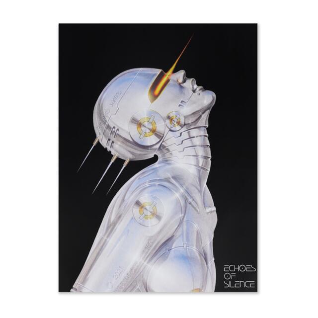 SORAYAMA HAJIME ECHOES OF SILENCE LITHO