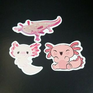 ウーパールーパー AXOLOTL ステッカー シール 3枚セット ②(キャラクターグッズ)