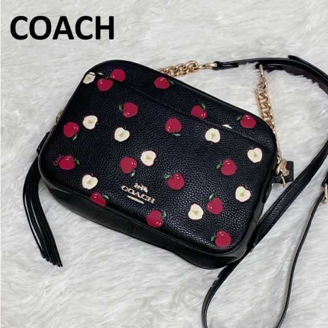 COACH - 【極美品】コーチ アップルプリント ショルダーバック カメラ