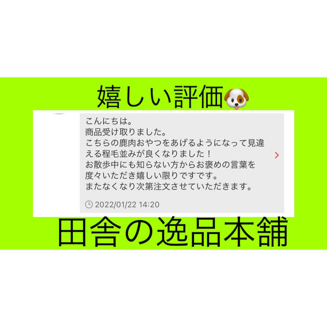 ★お買い得★ 大型犬におすすめ アウトレット 鹿or猪の骨 1kg 以上 1