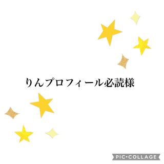 りんプロフィール必読様(バッグ/レッスンバッグ)