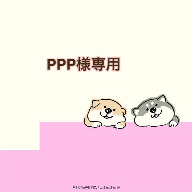 冬バーゲン☆】 ppp様専用 - 食品 - alrc.asia