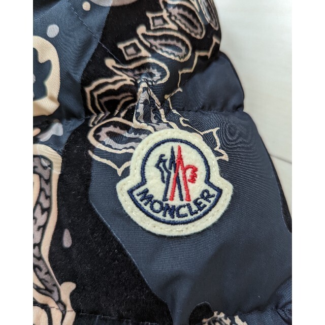 MONCLER(モンクレール)の【210様専用】MONCLER FREVILLE メンズのジャケット/アウター(ダウンジャケット)の商品写真