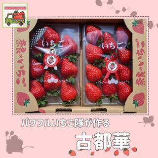 奈良県産 高級ブランドいちご【古都華】1箱2パック(フルーツ)