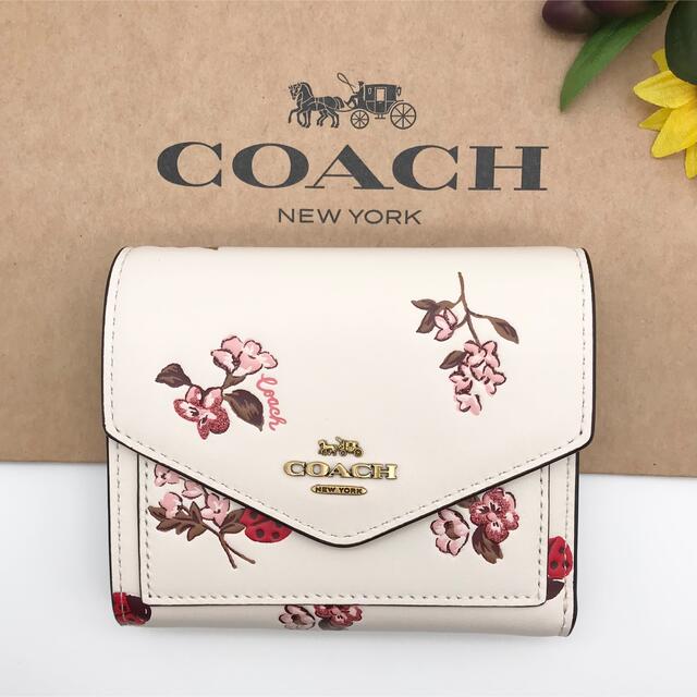 レディースCOACH 財布 スモール ウォレット ウィズ レディバグ フローラル 新品