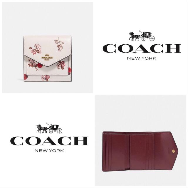 COACH(コーチ)のCOACH 財布 スモール ウォレット ウィズ レディバグ フローラル 新品 レディースのファッション小物(財布)の商品写真