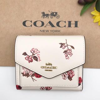 コーチ(COACH)のCOACH 財布 スモール ウォレット ウィズ レディバグ フローラル 新品(財布)