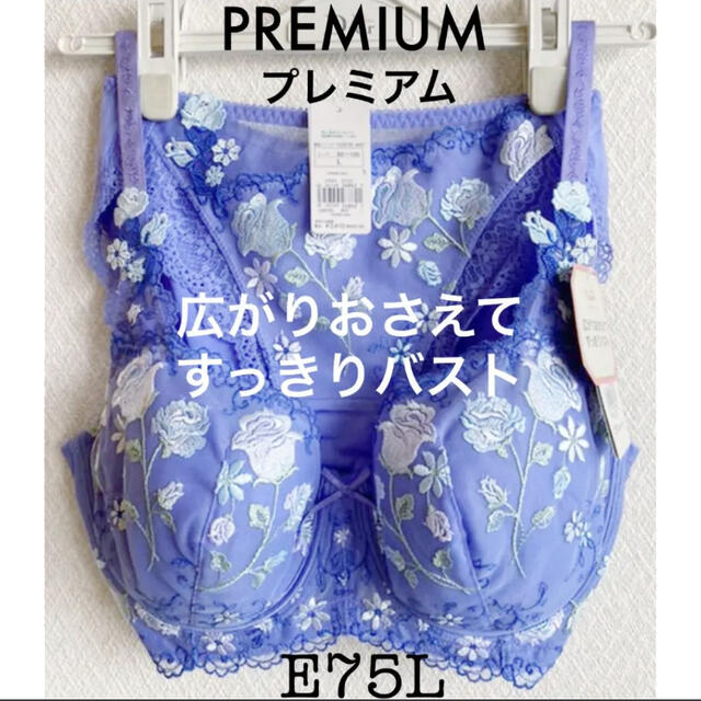 【新品タグ付】triumph／PREMIUMブラ・E75L（定価¥11,660）