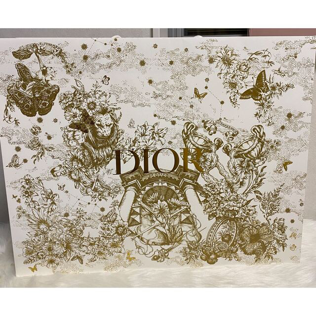 Dior クリスマス ホリデー 2021 限定 袋 箱 ディオール - arkiva.gov.al