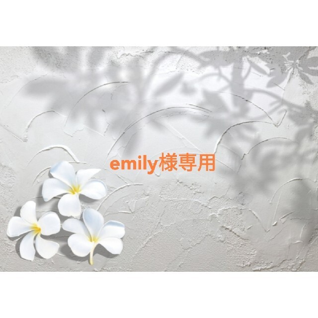 emily様専用の通販 by cocomei's shop|ラクマ