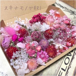 はるる様専用ページです♡ドライフラワー花材set♡レッド系(ドライフラワー)