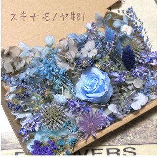 ドライフラワー花材set♡ブルー系#B1 新着ランキング 41.0%割引 www ドライフラワー花材set♡ブルー系#B1 新着ランキング 41.0%割引 www