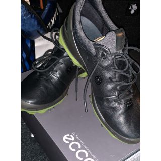 エコー(ECHO)のEcco ゴルフシューズ　BIOM G3 値下げ交渉可(シューズ)