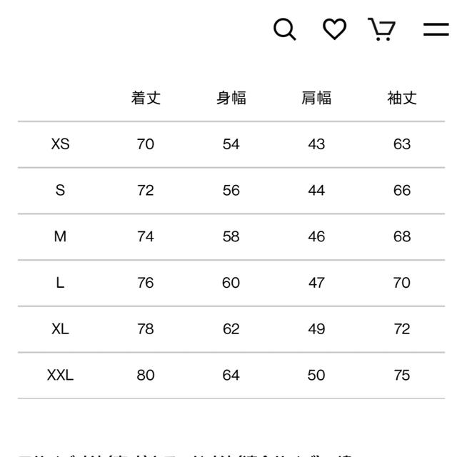 TNF Mountain JacketサイズM ニュートープ 9