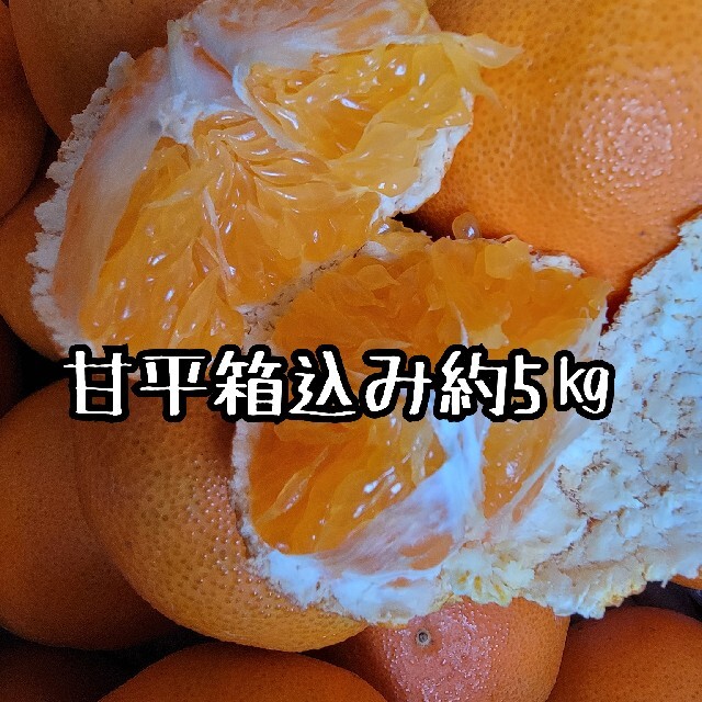 愛媛県産　甘平　少し訳あり　箱込み約5kg柑橘　ミカン