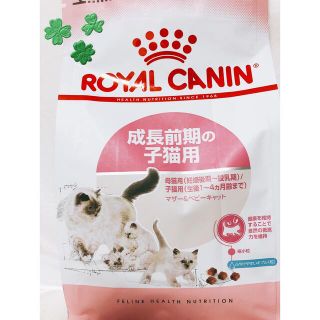 ロイヤルカナン(ROYAL CANIN)のロイヤルカナン の子猫 前期 400g2袋 ドライフード(猫)