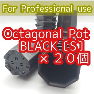 OctagonalPot 八角鉢 2号 20個 多肉植物 アガベ 多肉植物(プランター)