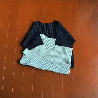 イッセイミヤケ(ISSEY MIYAKE)のオムプリッセイッセイミヤケ　2枚homme plisse isseymiyake(Tシャツ/カットソー(半袖/袖なし))