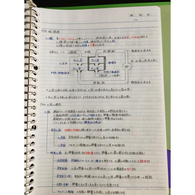 精神保健福祉士、介護福祉士国家試験、定期試験対策シリーズ【解剖学】セット エンタメ/ホビーの本(資格/検定)の商品写真