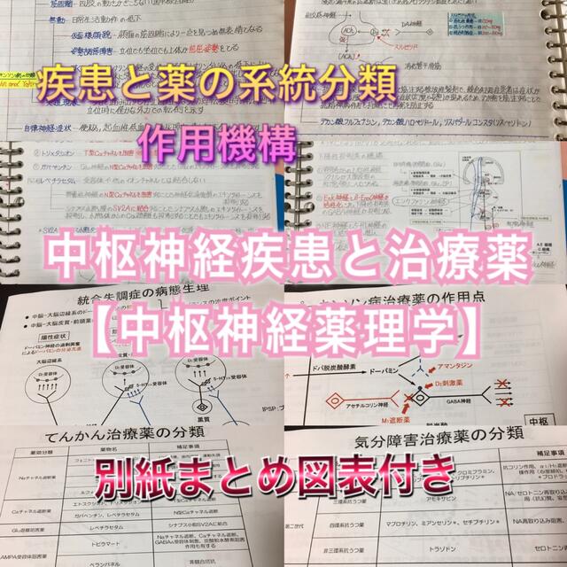 社会福祉士、介護福祉士国家試験、定期試験対策シリーズ【中枢神経疾患】まとめセット