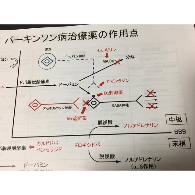 社会福祉士、介護福祉士国家試験、定期試験対策シリーズ【中枢神経疾患】まとめセット