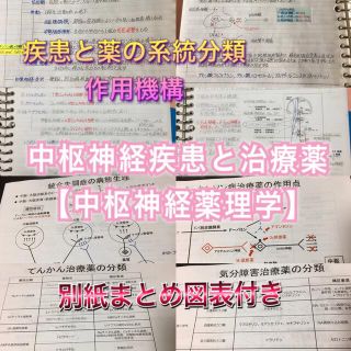 社会福祉士、介護福祉士国家試験、定期試験対策シリーズ【中枢神経疾患】まとめセット(資格/検定)