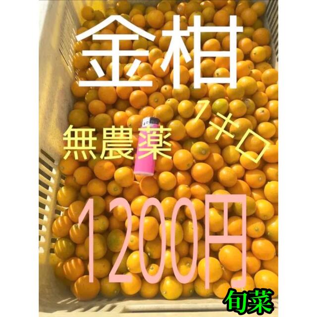 金柑　無農薬    ご家庭用    1kg以上 食品/飲料/酒の食品(フルーツ)の商品写真