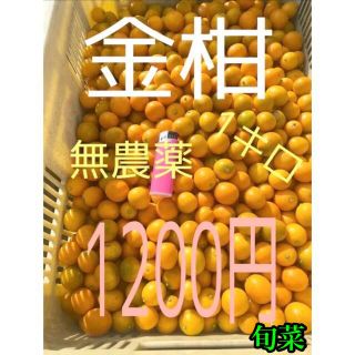 金柑　無農薬    ご家庭用    1kg以上(フルーツ)