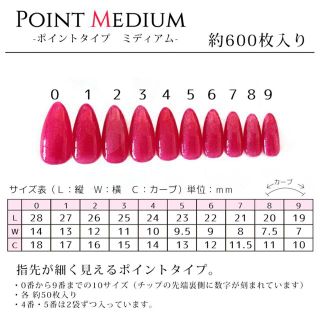 マグネット蝶々ネイル ネイルチップ ハンドメイドのアクセサリー(ネイルチップ)の商品写真