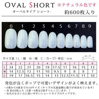 マグネット蝶々ネイル ネイルチップ ハンドメイドのアクセサリー(ネイルチップ)の商品写真