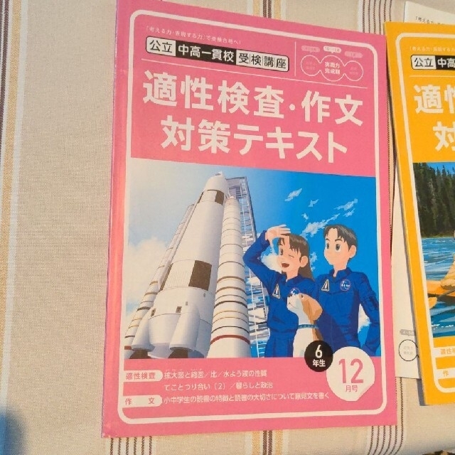 6年生　考える力プラス　公立中高一貫校受検講座　進研ゼミ　ベネッセ　テキストのみ エンタメ/ホビーの本(語学/参考書)の商品写真