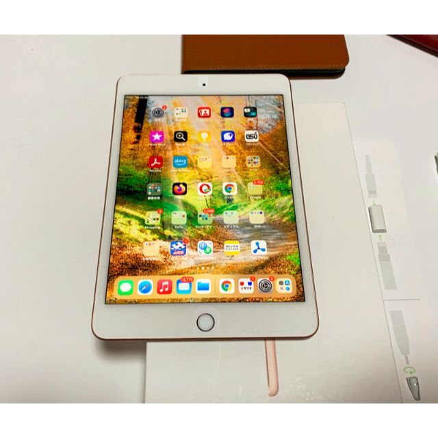 iPad mini 第5世代 Wi-Fi+Cellular 256GB付属品多数