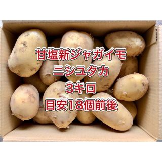 【鹿児島産】甘塩新ジャガイモ箱込み3キロ^_^(野菜)