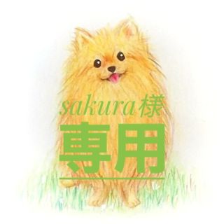 【sakura様専用】手描きポストカード1枚 名入れ パピヨン似顔絵 色鉛筆画(アート/写真)