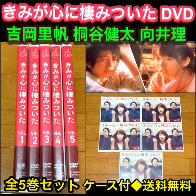 【送料無料】きみが心に棲みついた DVD全5巻セット 吉岡里帆 桐谷健太 向井理